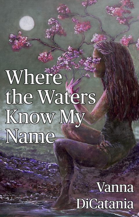 Couverture de Where the Waters Know My Name